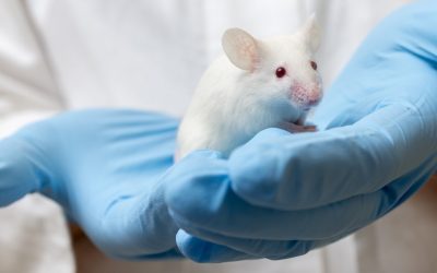 Animal Models in Sleep Research and Applied Neurosomnology