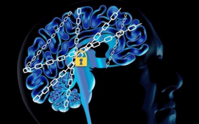 عصب شناسی اعتیاد The Neurobiology of Addiction