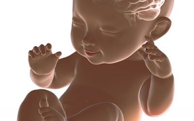 اختلالات رشدی مغز (developmental brain disorders) یا DBD
