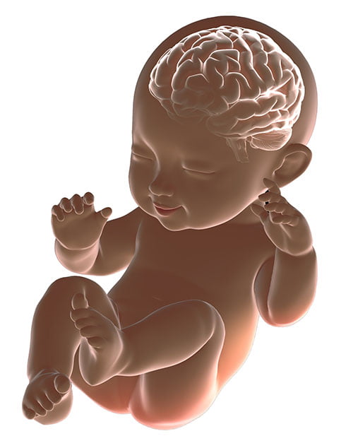 اختلالات رشدی مغز (developmental brain disorders) یا DBD