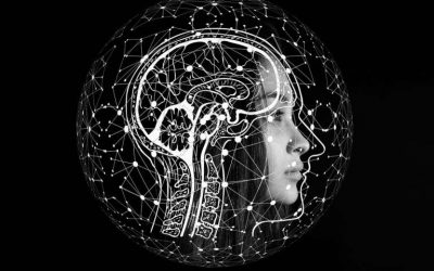 مغز چگونه “تصمیم گیری” می کند؟