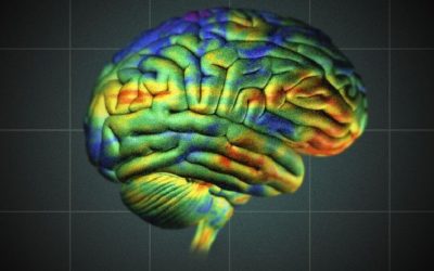 سیستم ایمنی، یکی از اجزاء مهم در حافظه