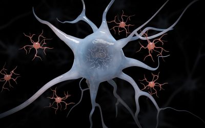 غیر فعال کردن میکروگلیا، کلید بهبود آلزایمر
