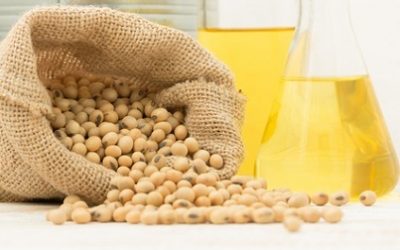 روغن سؤیا و تأثیر آن بر تغییر ژن ها در مغز