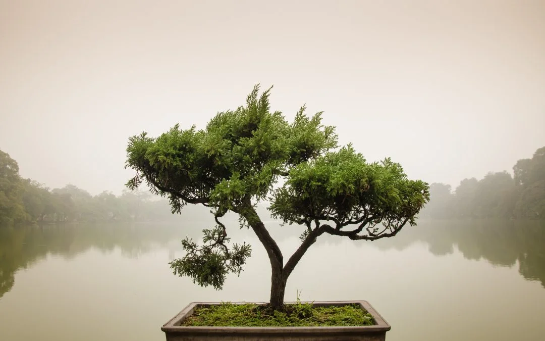 خود اصیلمان را چگونه بیابیم؟