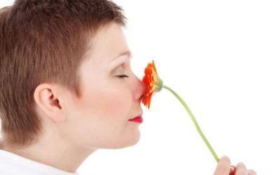 تست آنلاین برای از بین رفتن حس بویایی در اثر کرونا!