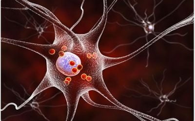 آخرین یافته ها در مورد بیماری های تخریب شونده عصبی