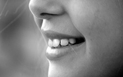 میکروگلیا، نگهبان مغز در پیاز بویایی