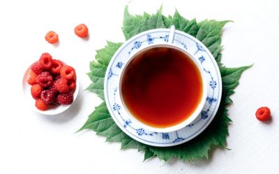 مصرف کم انواع توت ها، سیب و چای ممکن است خطر ابتلا به بیماری آلزایمر را افزایش دهد
