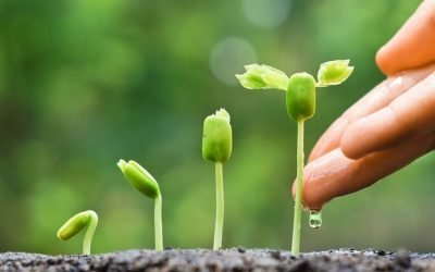 10 استراتژی برای بهبود اعتماد به نفس