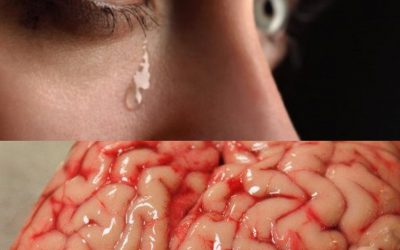 15 نکته مهم و البته جالب در مورد گریه