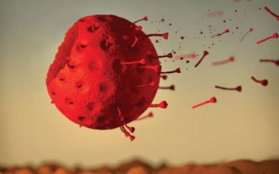 وضعیت کرونا در زمستان چگونه خواهد شد!؟