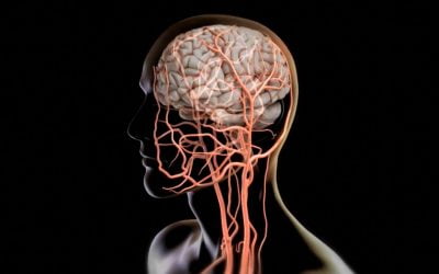 اختلال در عملکرد طحال و اضطراب چه ارتباطی دارند؟