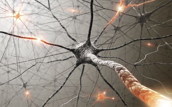 دلیل حمله سیستم ایمنی به پوشش اطراف سلول های عصبی؟