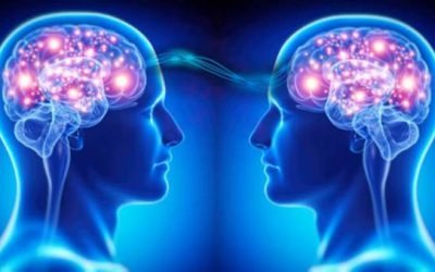 چقدر دیگران را خوب می فهمیم؟