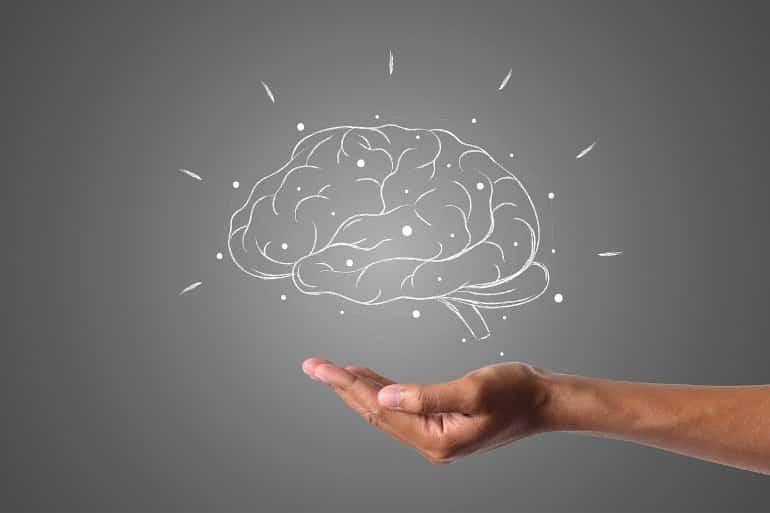 مغز چگونه شکل می گیرد؟
