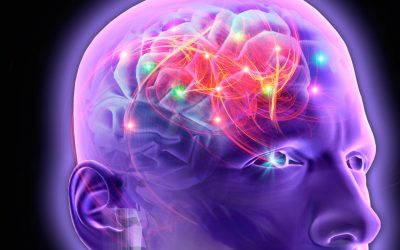 آیا بین بیماری ام اس و صرع ارتباطی وجود دارد؟