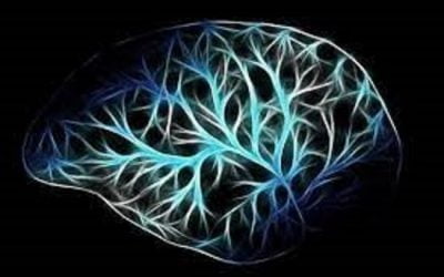 رژیم غذایی مناسب بیماران آلزایمر! بهترین کلینیک درمان آلزایمر در شیراز