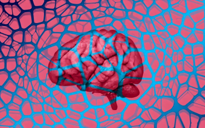 ده نشانه مهم تشخیص زودهنگام بیماری آلزایمر