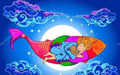 ماهی ها چگونه می خوابند؟