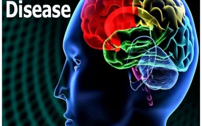 کبد چگونه به پیشرفت بیماری آلزایمر کمک می کند؟