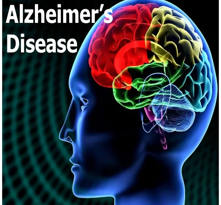 کبد چگونه به پیشرفت بیماری آلزایمر کمک می کند؟