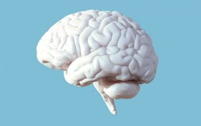 آیا عصبانیت بر مغزمان تاثیر می گذارد؟
