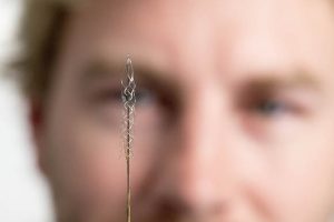 الکترودهای درون عروقی EE (Endovascular Electrodes) فناوری عصبی