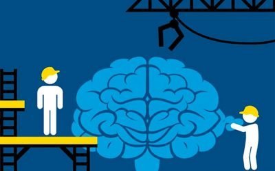 مغز انعطاف پذیر ما!(یک پژوهش جدید)
