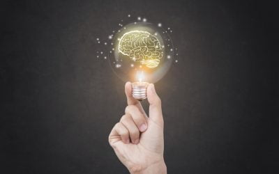 آیا خردمندی،قابل اندازه گیری است؟!