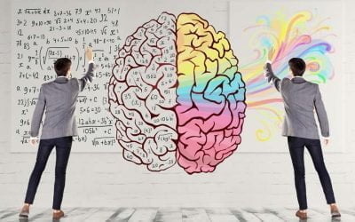 مغز ما و عملکردهای شناختی آن