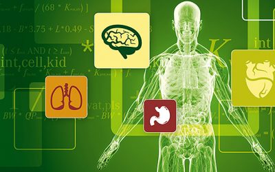 آلاینده های شیمیایی و تاثیر بر مغز جنین!