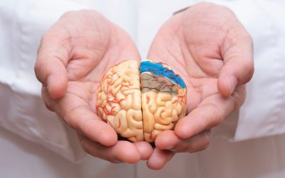 7 مرحله بیماری آلزایمر! مراحل پایانی آلزایمر چیست؟