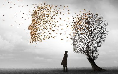 رژیم MIND که ممکن است به پیشگیری از آلزایمر کمک کند!