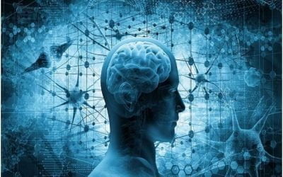 چگونه کمبود خواب بر عملکرد شناختی و تمرکز تأثیر می گذارد؟ (قسمت اول)