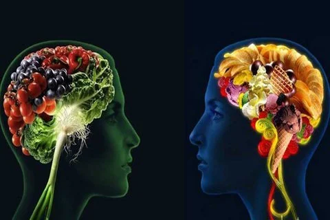 بهترین غذا ها برای تقویت مغز و حافظه (قسمت اول)