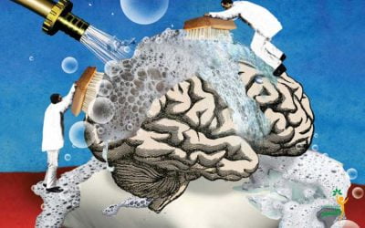 چگونه خواب مغز شما را «پاکسازی» می کند و به کاهش خطر زوال عقل کمک می کند