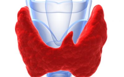 آیا مشکلات تیروئید با افزایش خطر زوال عقل مرتبط است؟