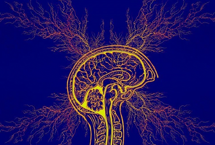 یک مغز معتاد چگونه کار می کند؟ اعتیاد!