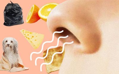 “این بوی چیه؟!” بوی خیالی یا فانتوم و اسموفوبیا یا بوهراسی چیست؟+ارتباط آنها با میگرن
