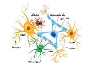 آسیب سلول های عصبی 