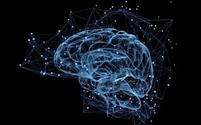 نمی تونم روی چیزی تمرکز کنم! راهنمای کامل توجه و تمرکز