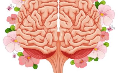 آشنایی با دنیای شگفت انگیز ساختار مغز و اهمیت سلامت آن